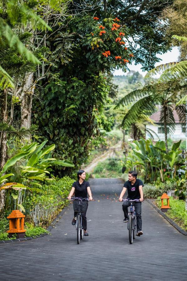 Villa Puri Candikuning Baturiti Exteriér fotografie